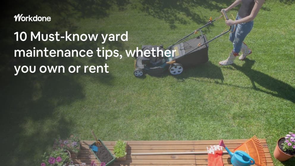 10 Must-know yard maintenance tips, whether you own or rent