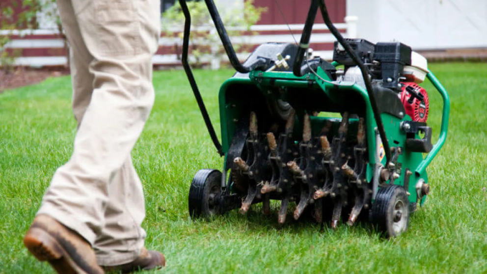 10 Must-know yard maintenance tips, whether you own or rent 